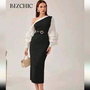 Dress-BizChic Asymmetrical Neck Lantern Sleeve Split Hem Without Belt Workwear